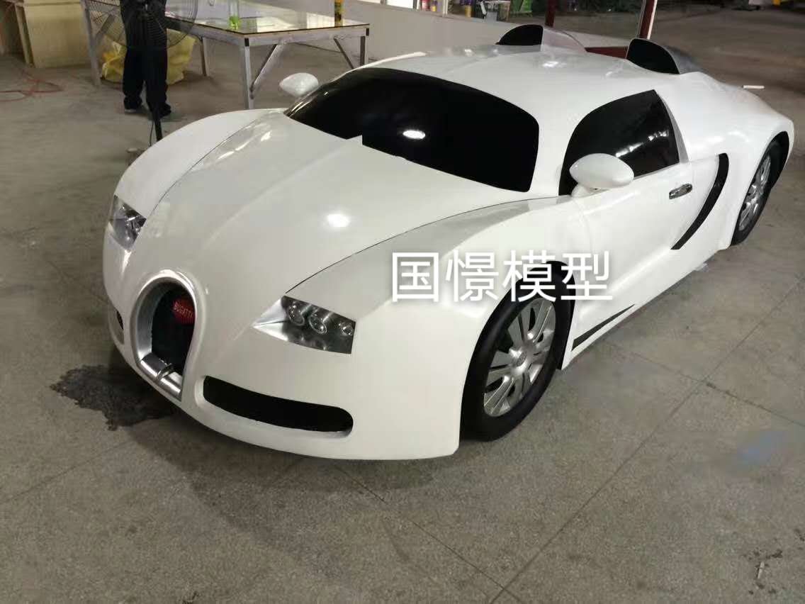 汤旺县车辆模型