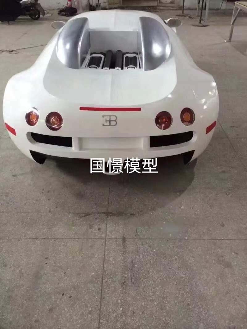 汤旺县车辆模型