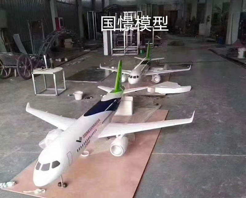 汤旺县飞机模型